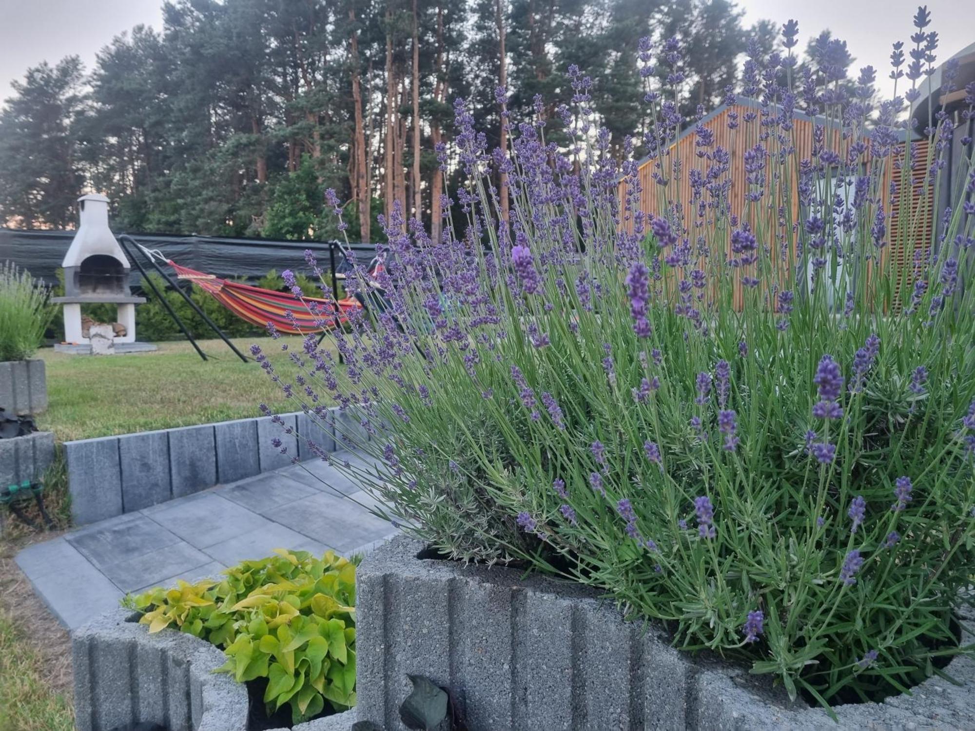 Domek wakacyjny, nad morzem z balią, Lawendowe Wzgórze, Karwienskie Bloto Exterior foto